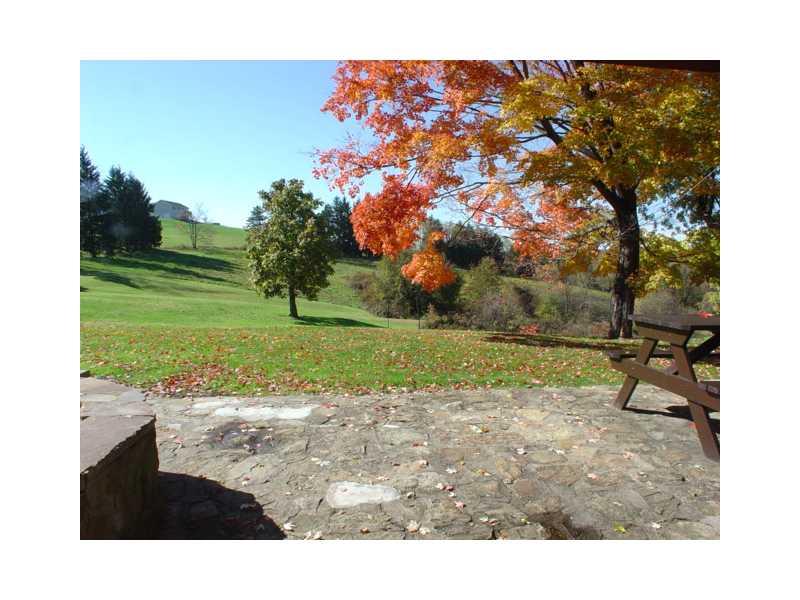 222 Stone Church Road Grindstone, PA 15442 - Photo 14 of 15 Yard/Garden.