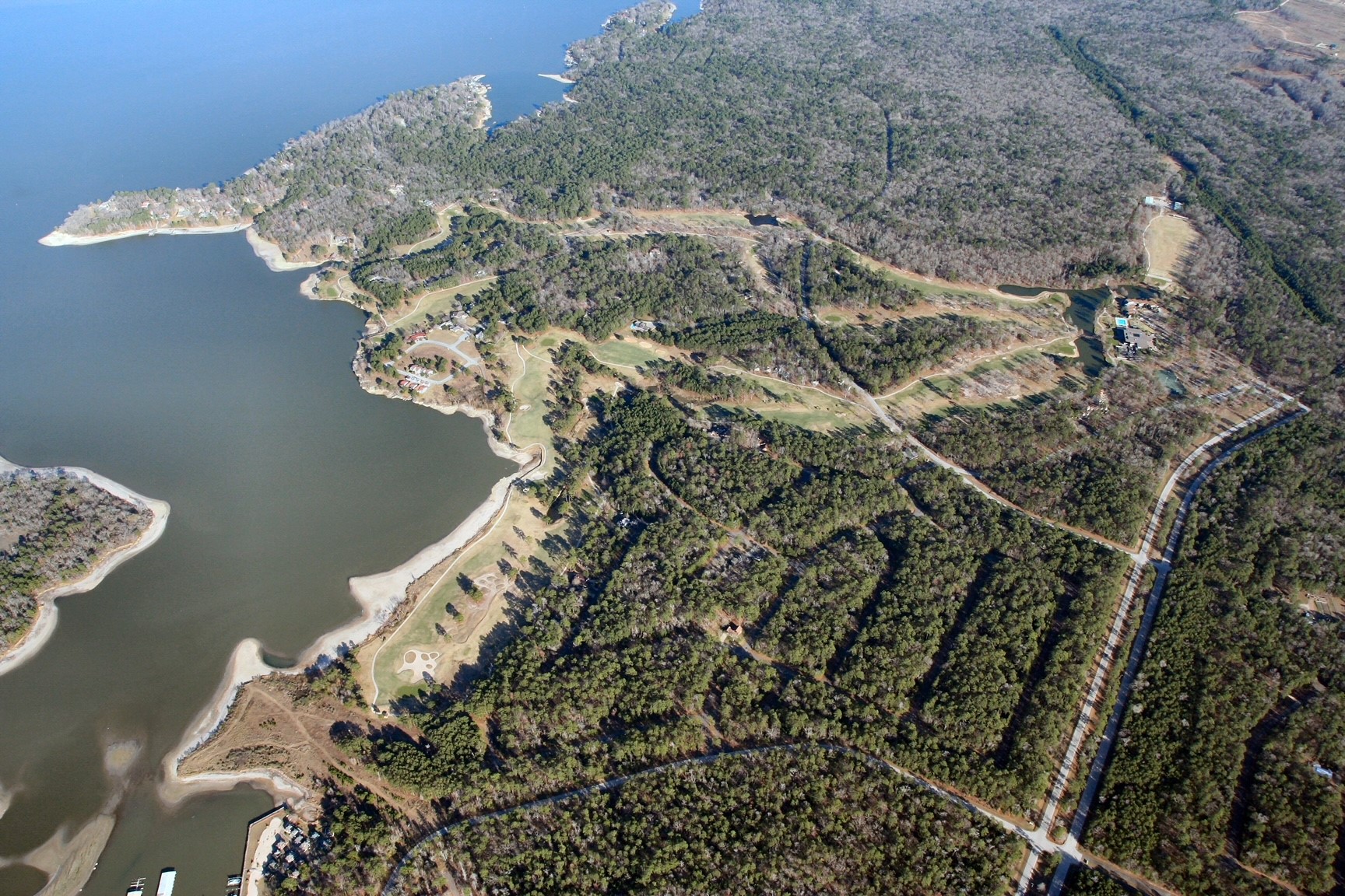 0 Waterwood Point Blank, TX 77364 - Photo 2 of 8 a vase of flowers sitting on a table