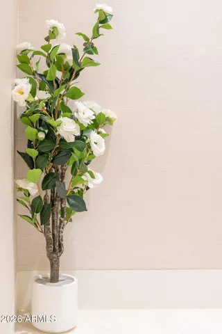 $20,000 | 6587 North Palmeraie Boulevard, Unit 2015, Paradise Valley, AZ 85253