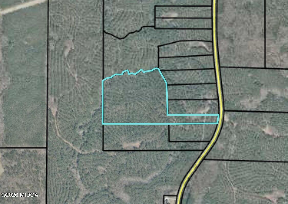 457 Bagley Road Forsyth, GA 31029 - Photo 6 of 7