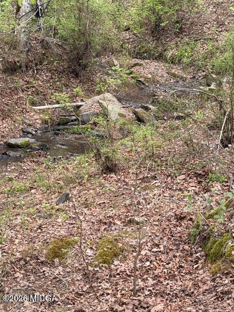 457 Bagley Road Forsyth, GA 31029 - Photo 8 of 9 IMG_6981