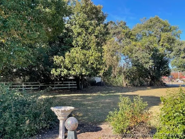 a view of backyard with green space