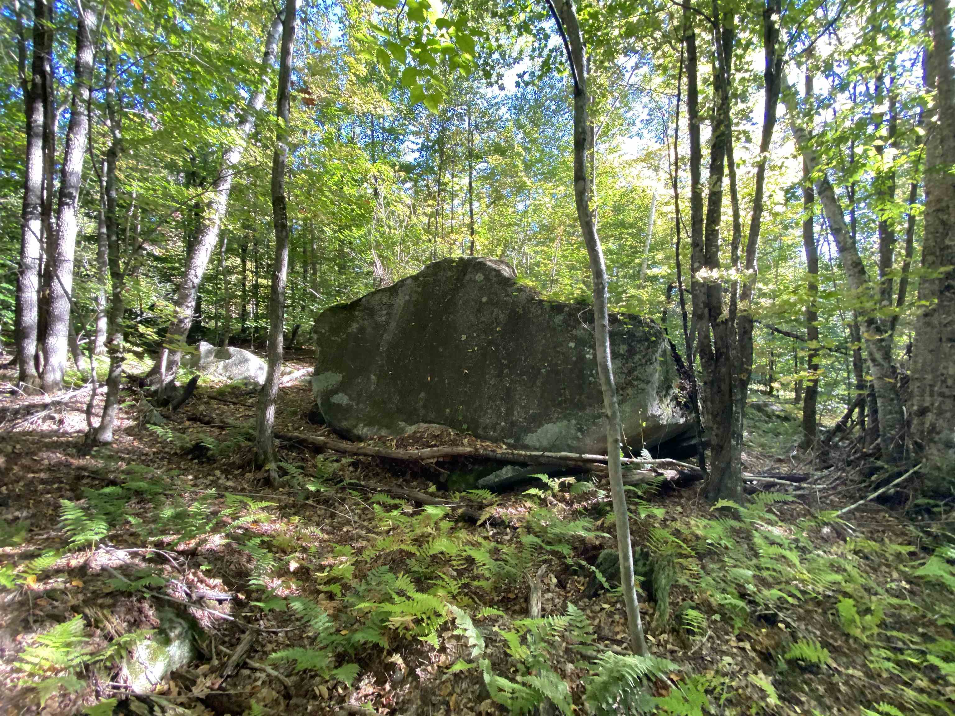 Auger Hole Road Barton, VT 05822 - Photo 8 of 13