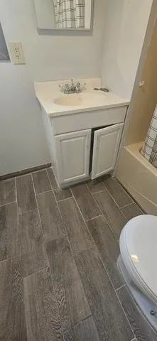 a bathroom with a sink vanity and toilet