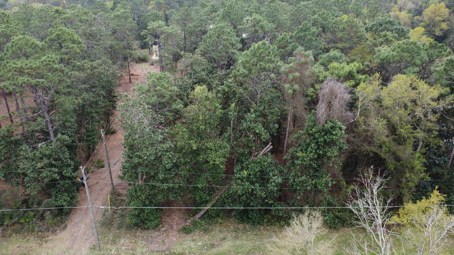 Lot 10 Wilson Road Elberta, AL 36530 - Photo 3 of 5 a view of a forest