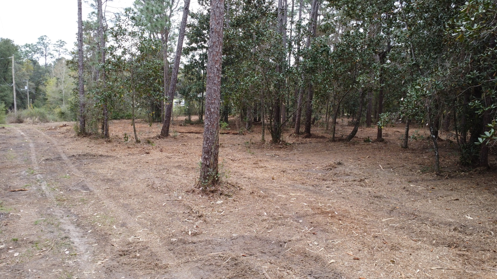 Lot 10 Wilson Road Elberta, AL 36530 - Photo 5 of 5 a backyard of a house with lots of green space