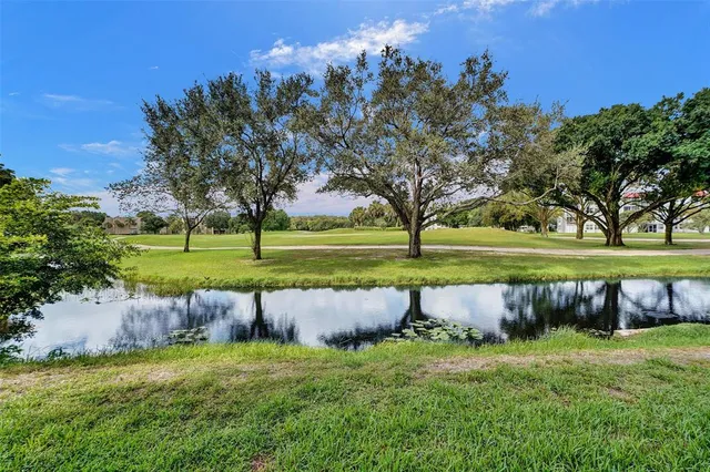 a view of a garden with a tree