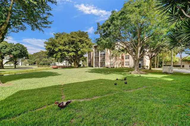 a view of a park with large trees