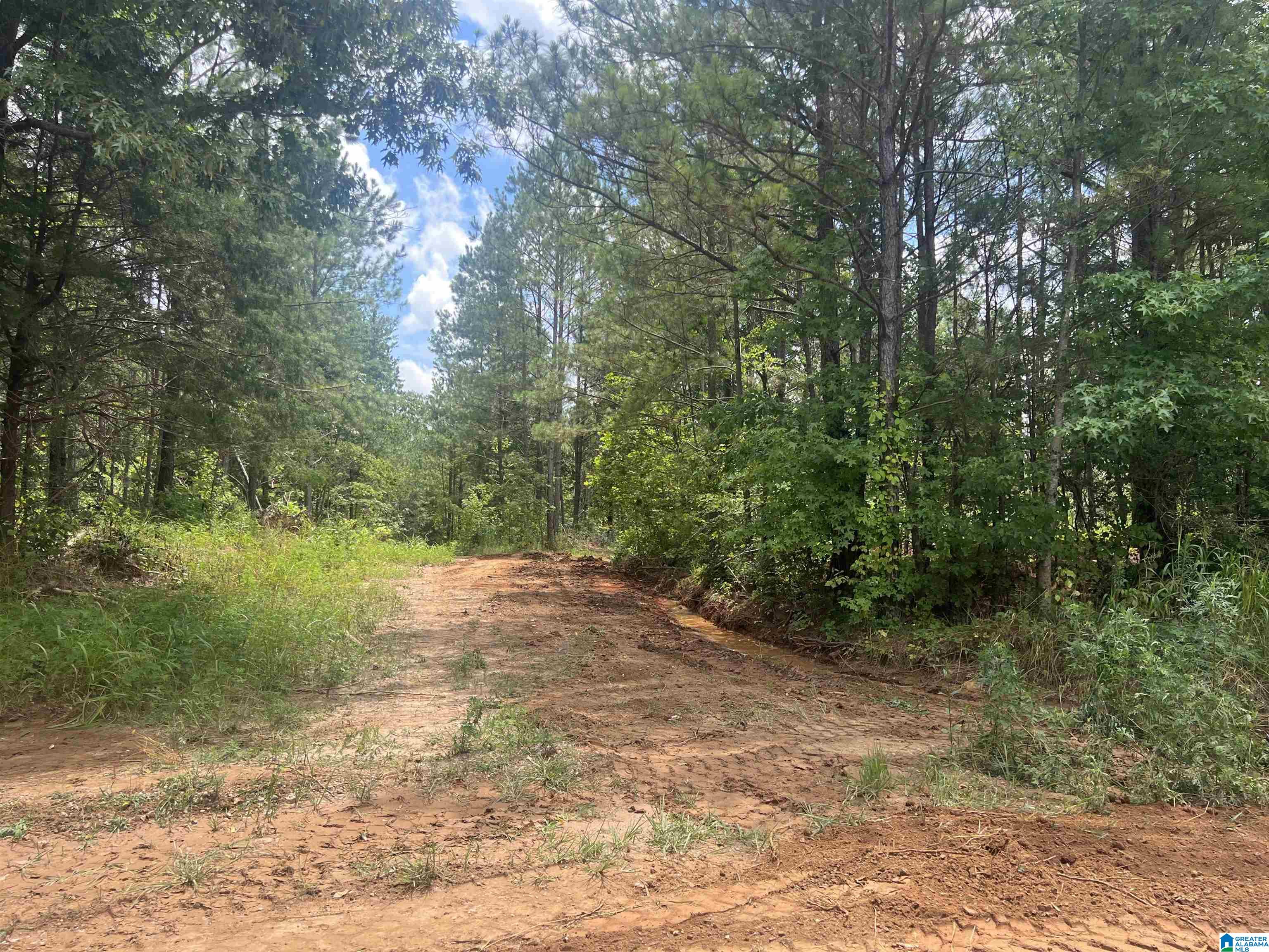 0 County Road 689, Unit 1 Ranburne, AL 36273 - Photo 7 of 69
