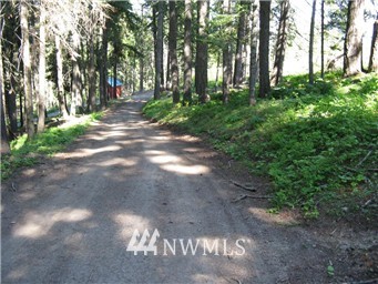 63 Microwave Road Cle Elum, WA 98922 - Photo 1 of 4 Gallery Image 1