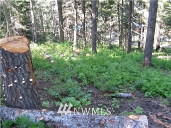 63 Microwave Road Cle Elum, WA 98922 - Photo 3 of 4 Gallery Image 3