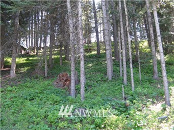 63 Microwave Road Cle Elum, WA 98922 - Photo 4 of 4 Gallery Image 4