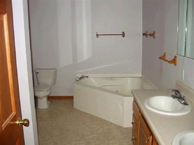 6750 Bird Lake Road South Osseo, MI 49266 - Photo 4 of 4 Additional Photo