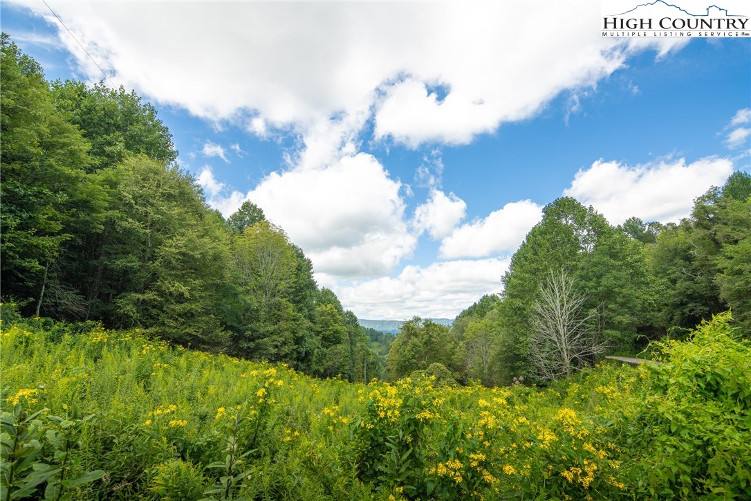 Georges Gap Road Vilas, NC 28692 - Photo 14 of 42