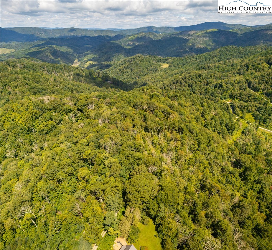 Georges Gap Road Vilas, NC 28692 - Photo 15 of 42