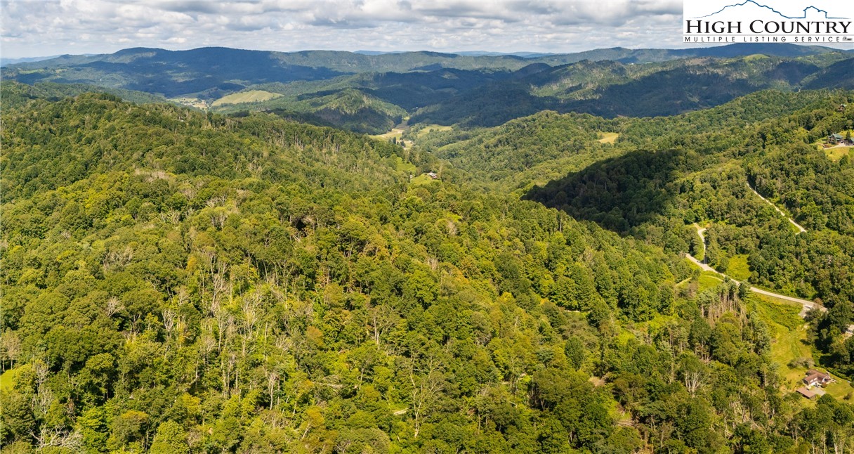 Georges Gap Road Vilas, NC 28692 - Photo 17 of 42