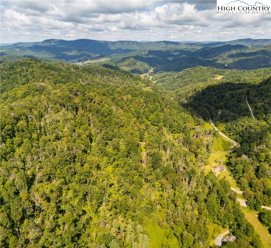 Georges Gap Road Vilas, NC 28692 - Photo 19 of 42