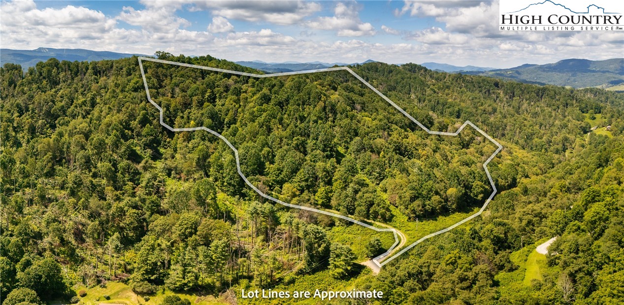 Georges Gap Road Vilas, NC 28692 - Photo 2 of 42