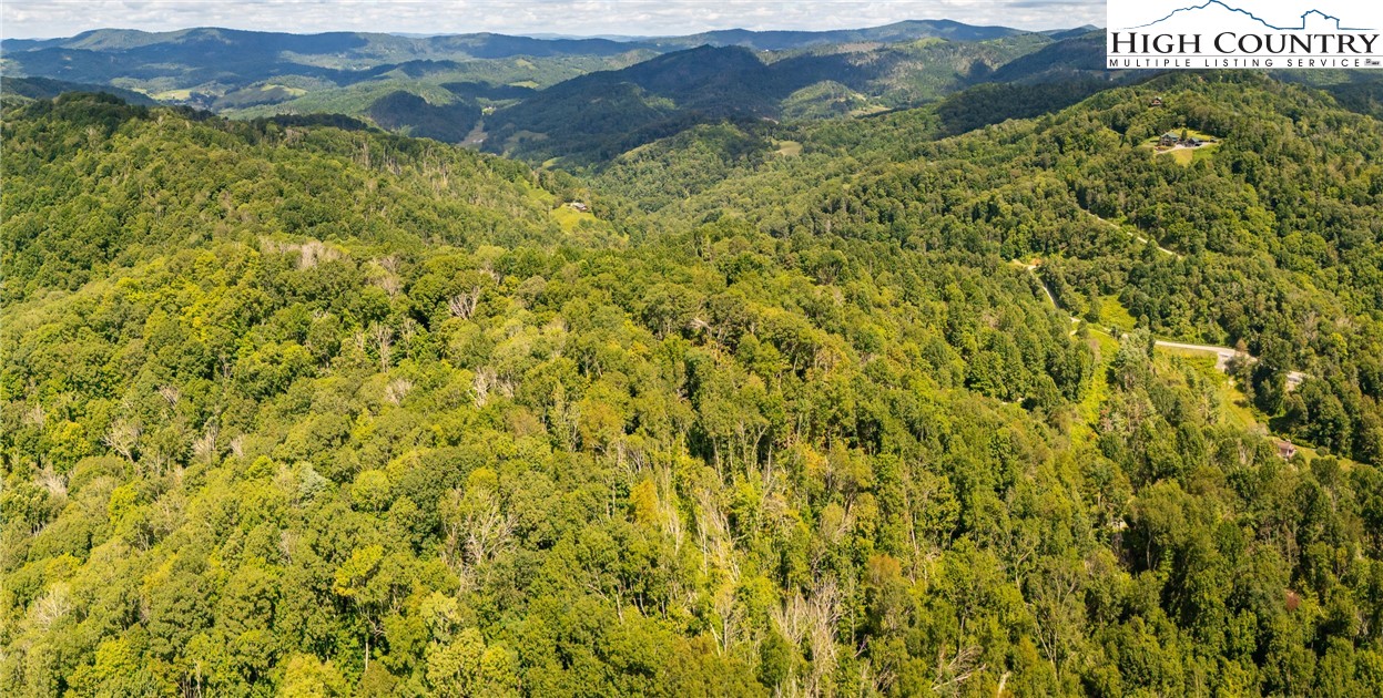 Georges Gap Road Vilas, NC 28692 - Photo 21 of 42