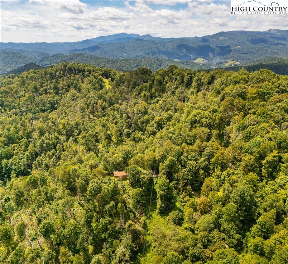 Georges Gap Road Vilas, NC 28692 - Photo 23 of 42