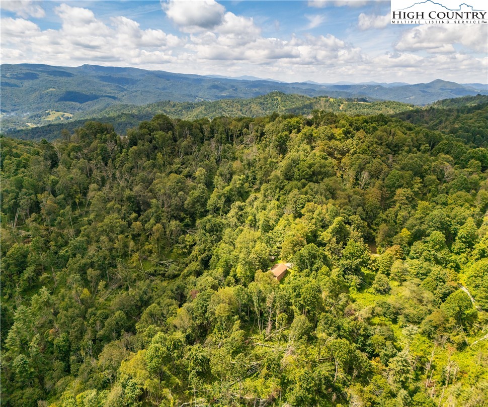 Georges Gap Road Vilas, NC 28692 - Photo 27 of 42