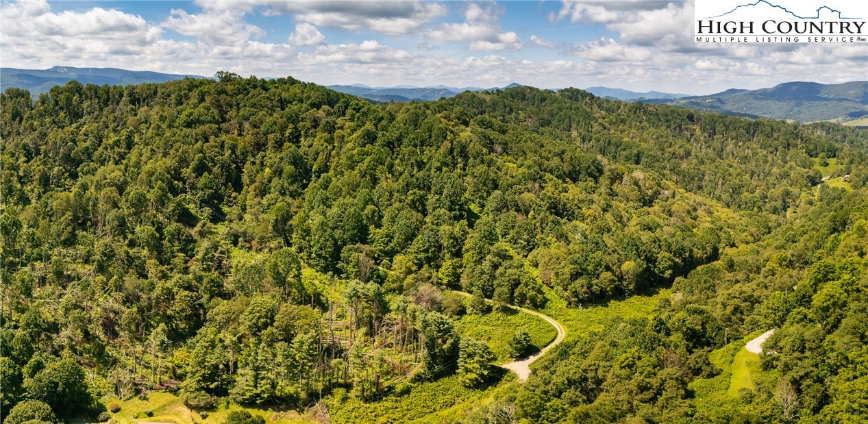 Georges Gap Road Vilas, NC 28692 - Photo 29 of 42