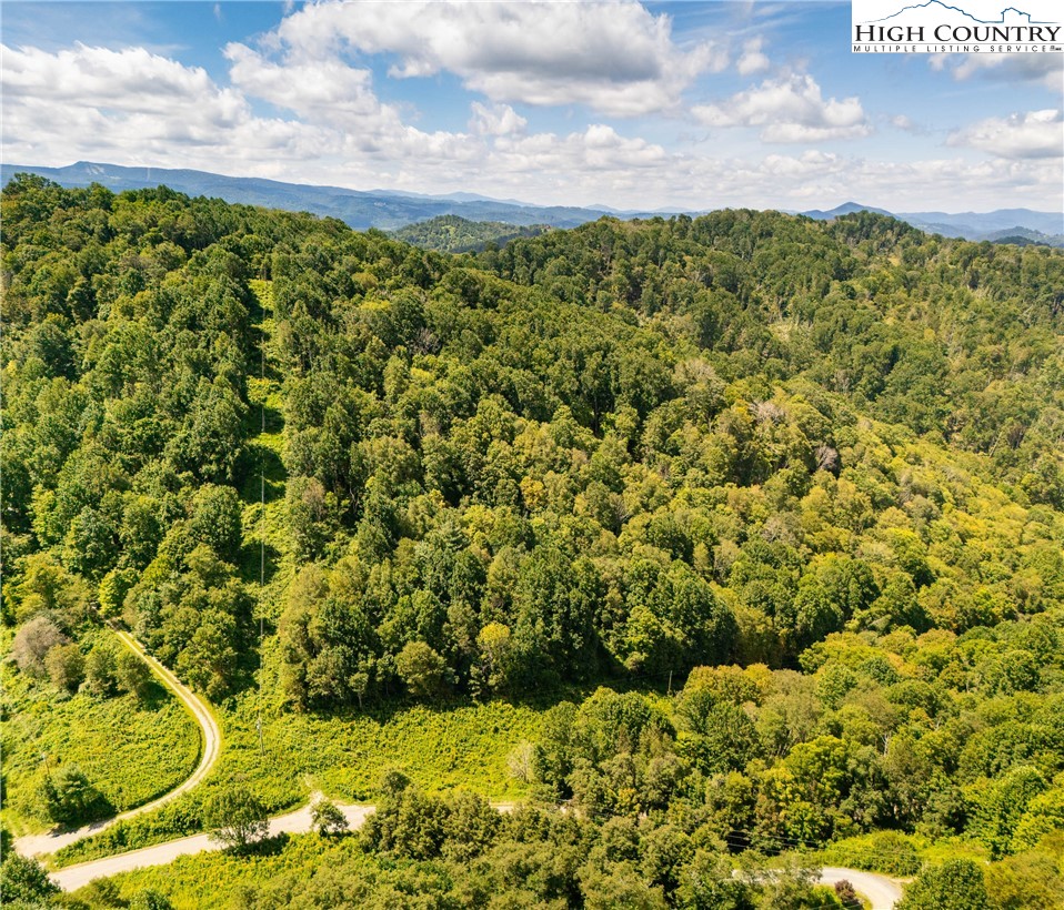 Georges Gap Road Vilas, NC 28692 - Photo 30 of 42