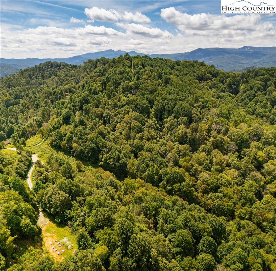 Georges Gap Road Vilas, NC 28692 - Photo 32 of 42