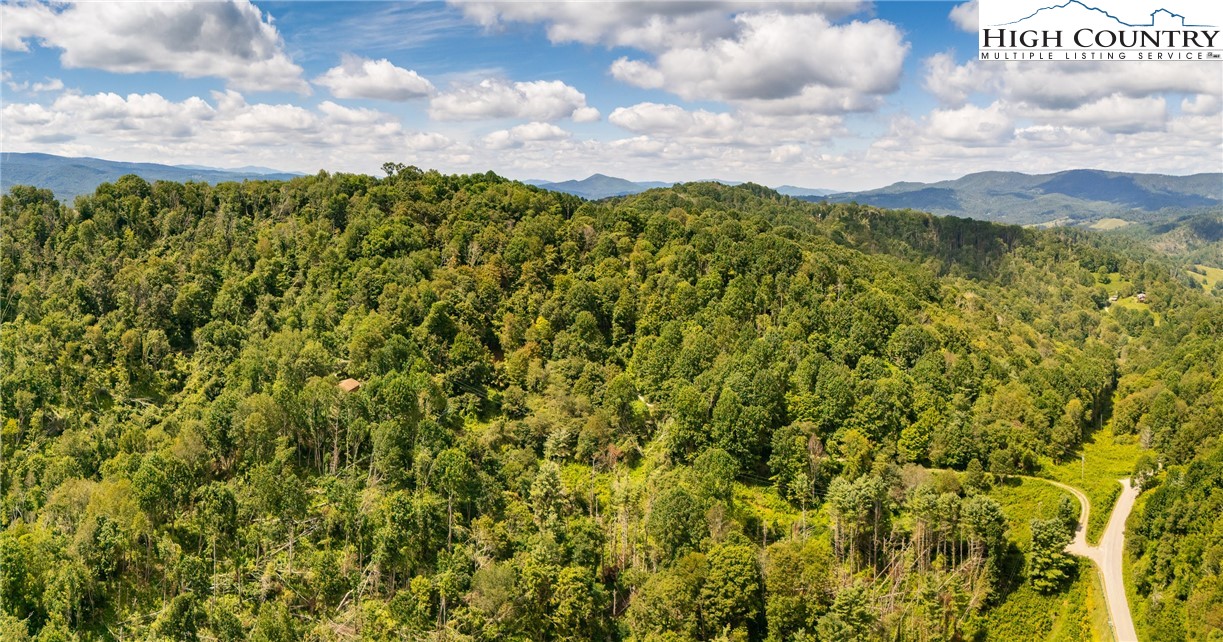Georges Gap Road Vilas, NC 28692 - Photo 33 of 42