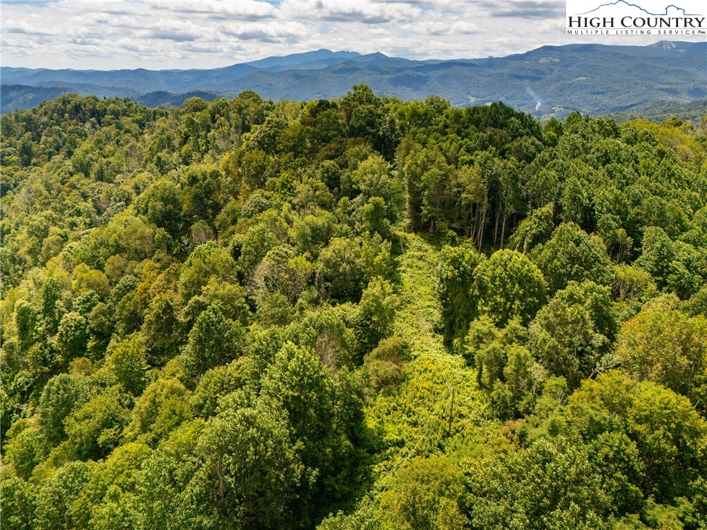 Georges Gap Road Vilas, NC 28692 - Photo 34 of 42