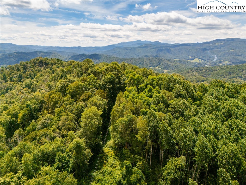 Georges Gap Road Vilas, NC 28692 - Photo 35 of 42