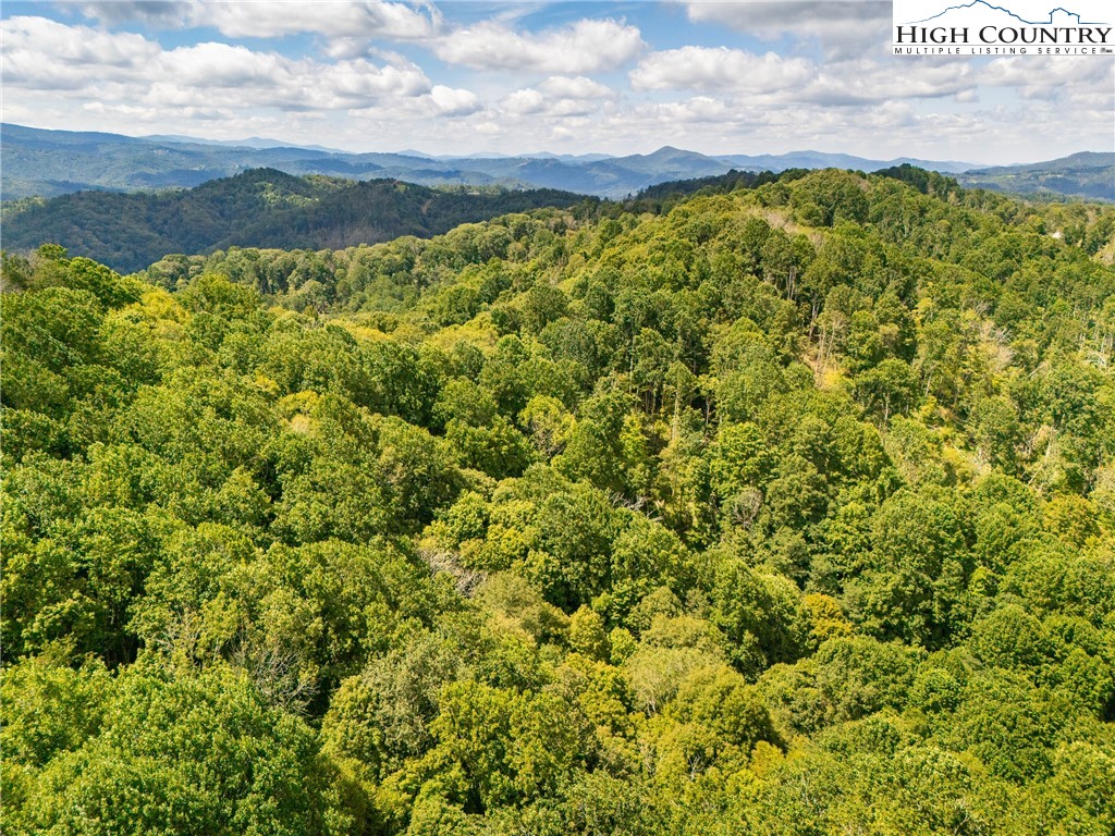 Georges Gap Road Vilas, NC 28692 - Photo 38 of 42