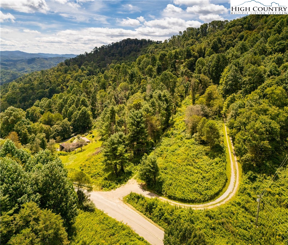 Georges Gap Road Vilas, NC 28692 - Photo 4 of 42