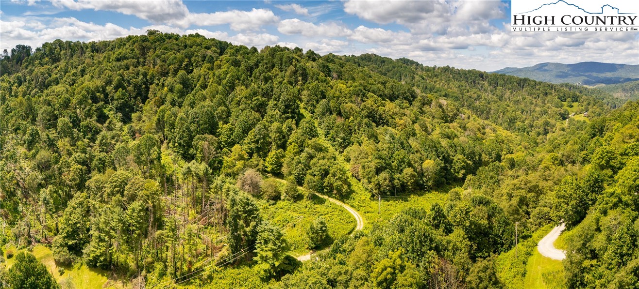 Georges Gap Road Vilas, NC 28692 - Photo 41 of 42