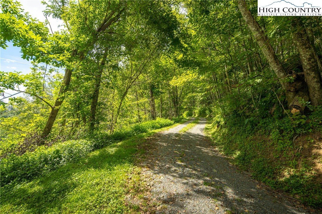 Georges Gap Road Vilas, NC 28692 - Photo 6 of 42