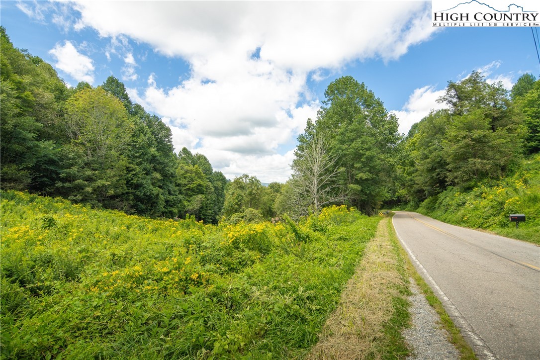 Georges Gap Road Vilas, NC 28692 - Photo 9 of 42