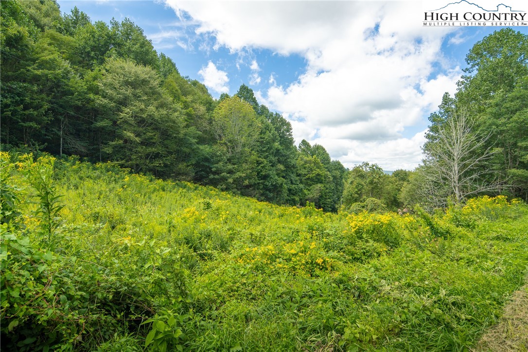 Georges Gap Road Vilas, NC 28692 - Photo 10 of 42