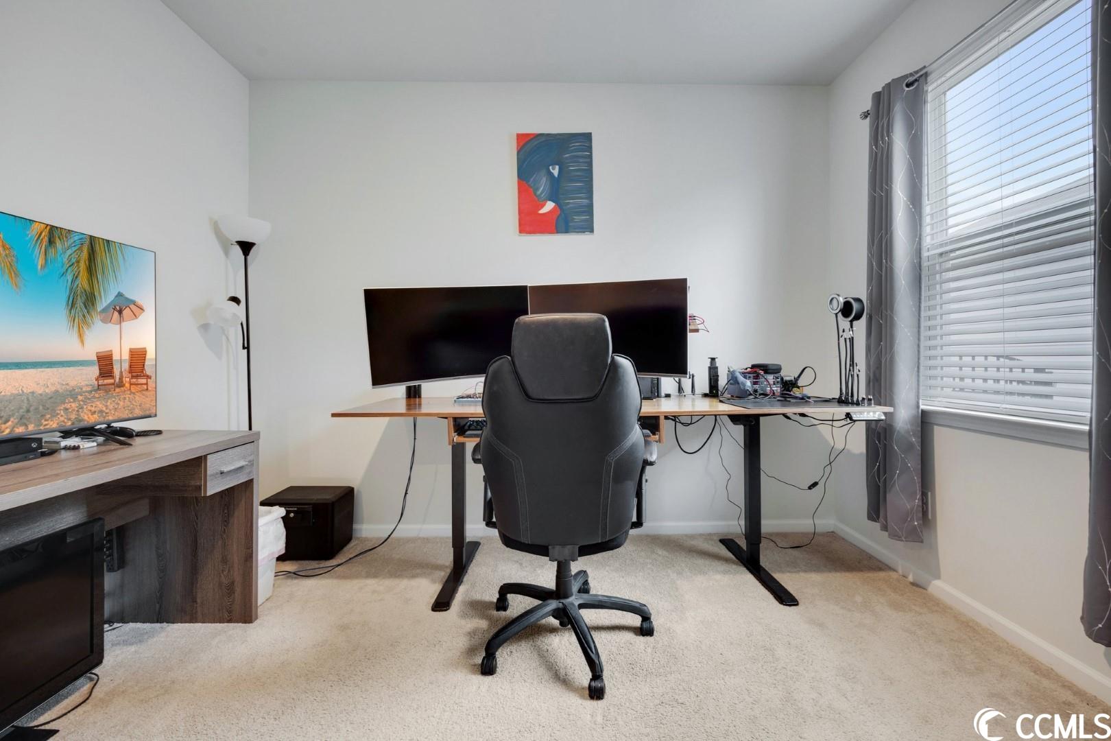 2636 Orion Loop Myrtle Beach, SC 29577 - Photo 14 of 40