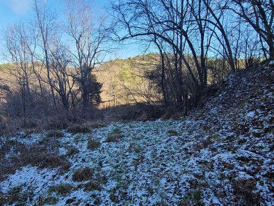 1571 Red Stone Road Chilhowie, VA 24319 - Photo 15 of 28 Gallery Image 15