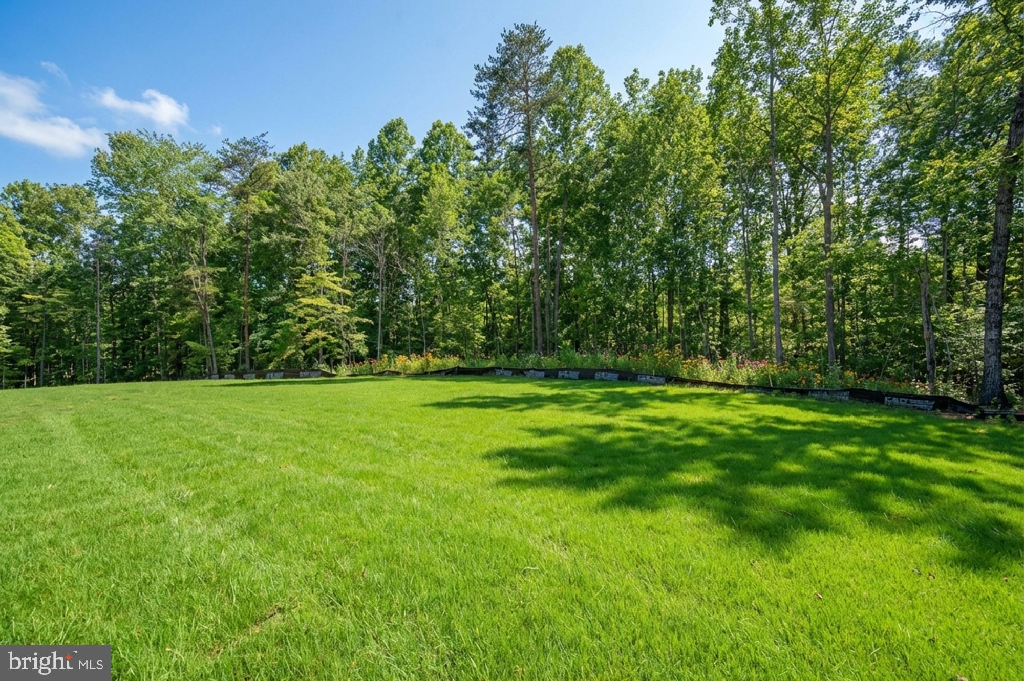 17342 Mallorys Ford Road Gordonsville, VA 22942 - Photo 4 of 38 a view of yard with green space