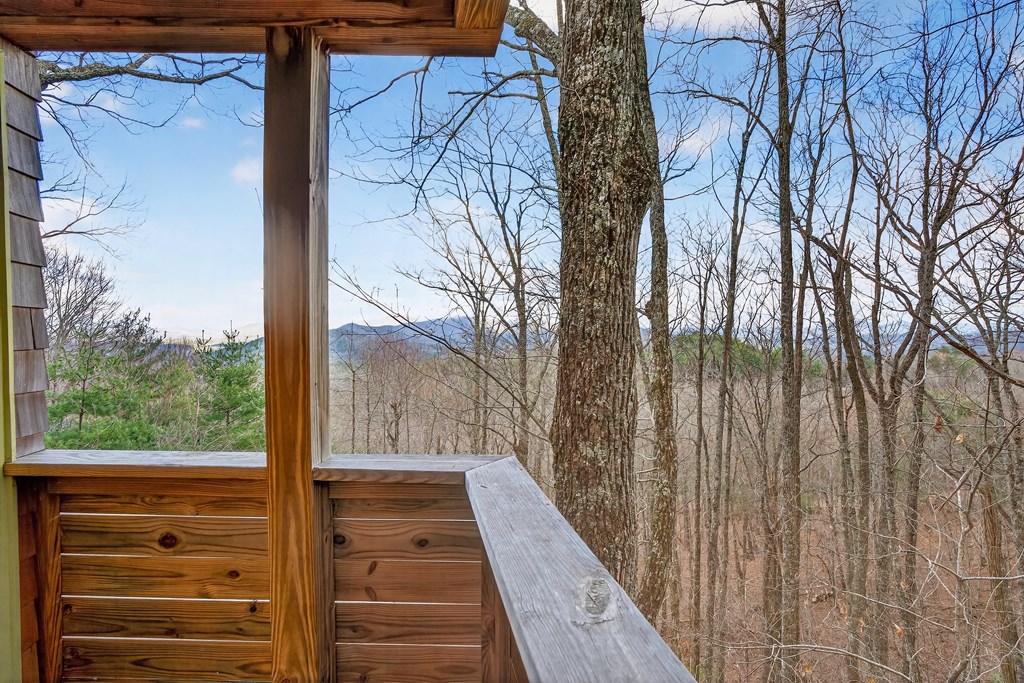 980 Bell Camp Ridge Road Blue Ridge, GA 30513 - Photo 36 of 36 Gallery Image 36