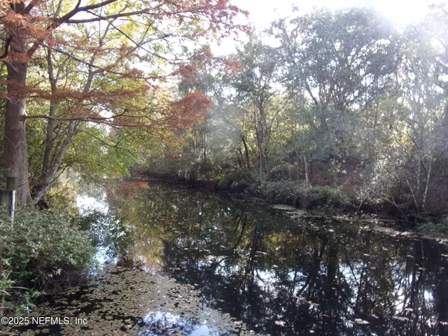 a view of dirt yard with a tree