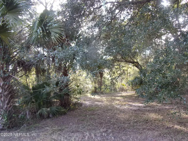 a view of outdoor space and trees