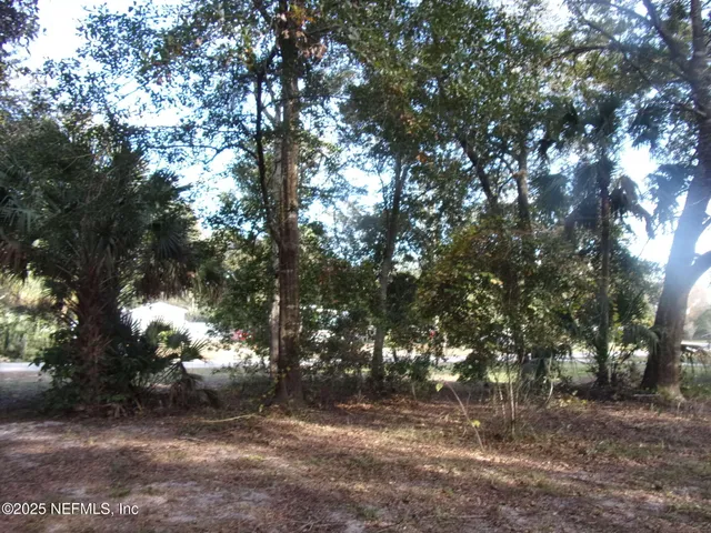 a view of tree next to a yard