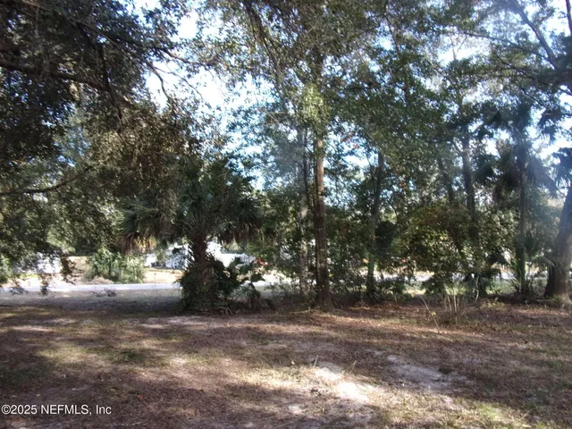 a view of a tree in a yard