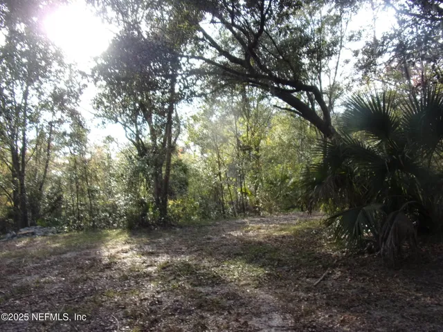 a view of a yard with a tree