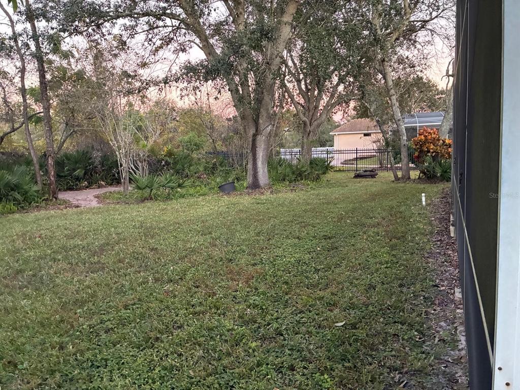 8125 Courtleigh Drive Orlando, FL 32835 - Photo 26 of 26 a view of a big yard with plants and large trees
