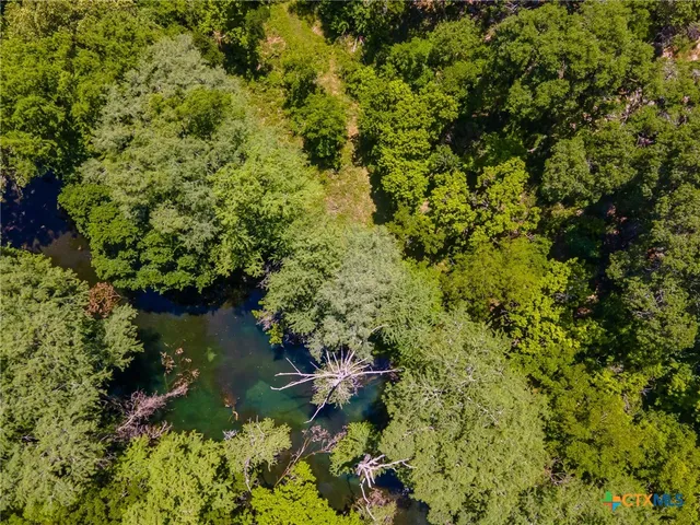 a view of a garden with a lake
