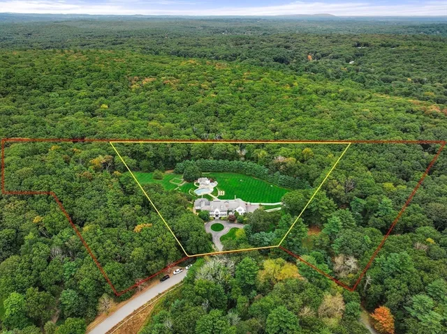 a view of a field with a tree in the background