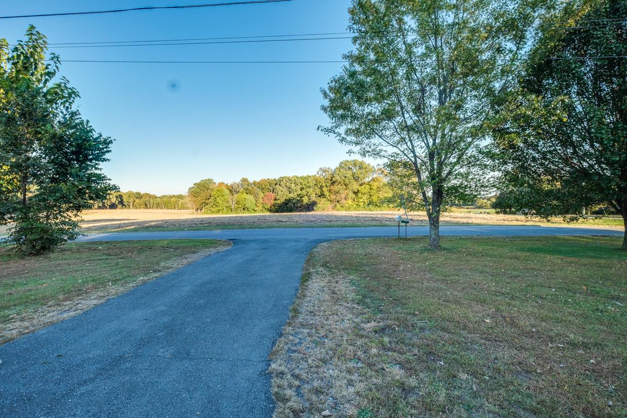 1808 Hygeia Road Greenbrier, TN 37073 - Photo 12 of 12 a view of yard with tree